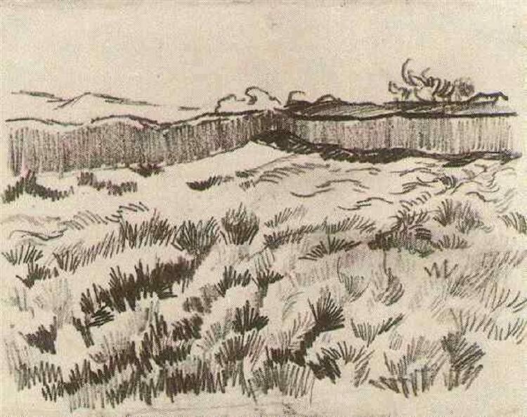 Огороджене поле, 1889 - Вінсент Ван Гог
