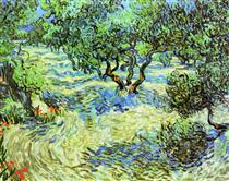 Olive Grove - Bright Blue Sky - Vincent van Gogh