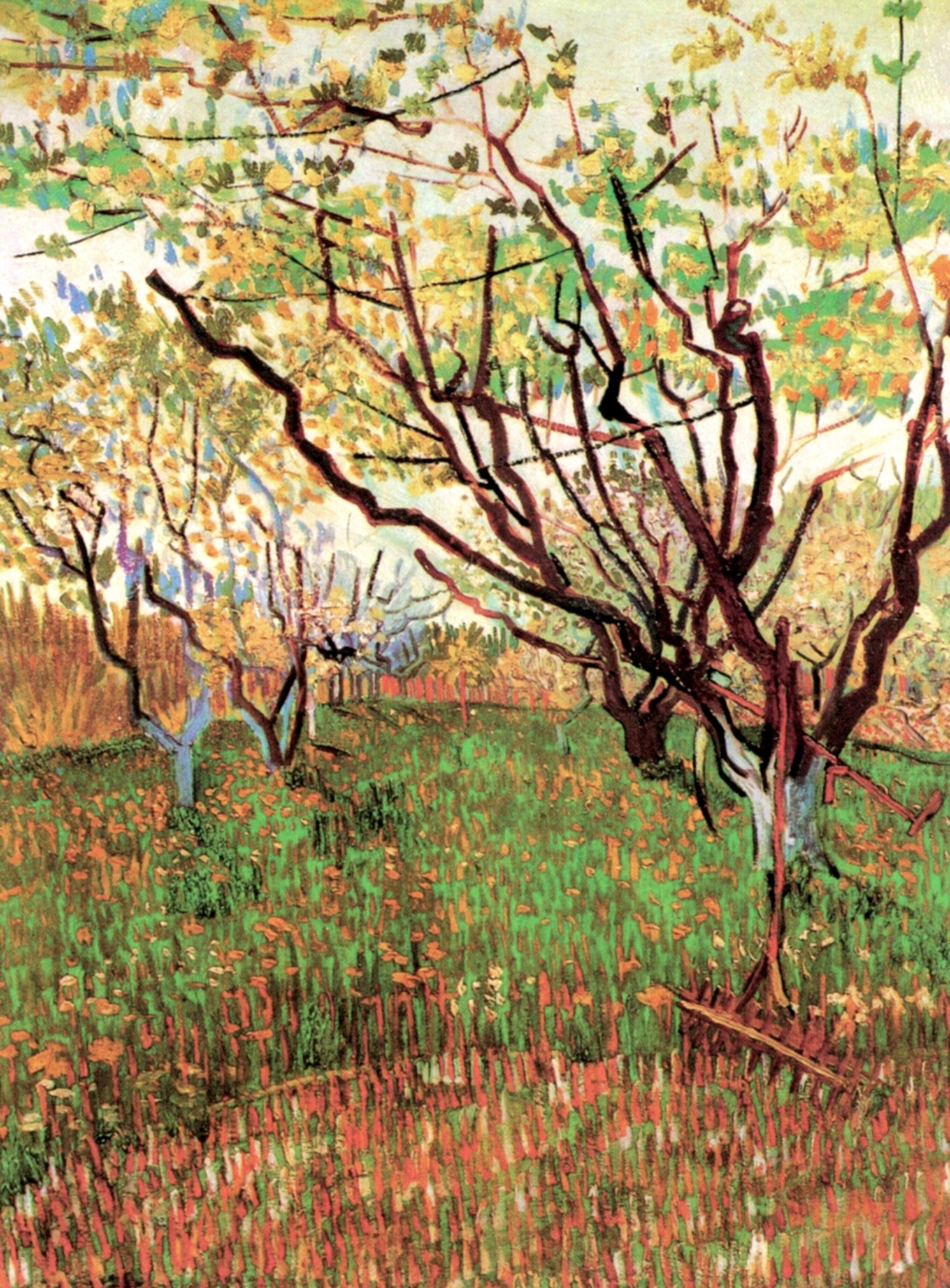 Orchard in Blossom, 1888 Vincent van Gogh