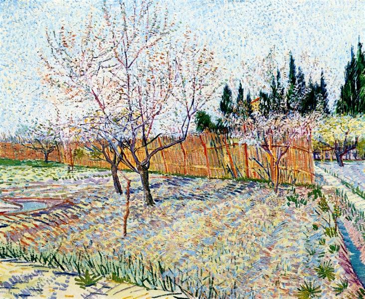 Orchard with Peach Trees in Blossom, 1888 - Винсент Ван Гог