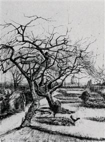 Parsonage Garden - Винсент Ван Гог