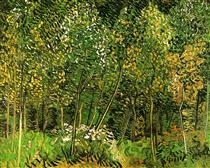 The Grove - Vincent van Gogh