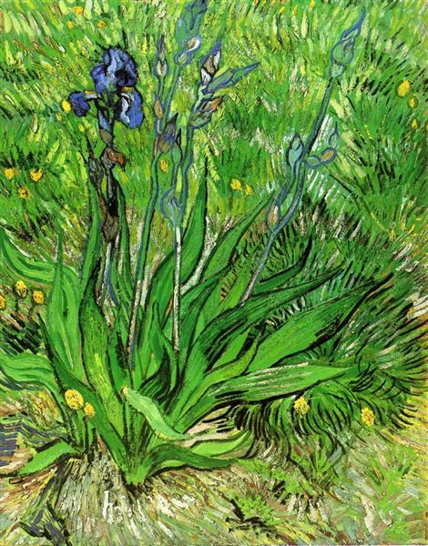The Iris, 1889 - Винсент Ван Гог
