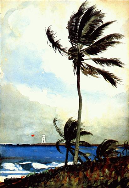 Palm tree, Nassau, 1898 - 温斯洛·霍默